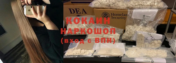 индика Сосновоборск