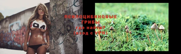 индика Сосновоборск