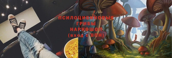 амф Сосновка