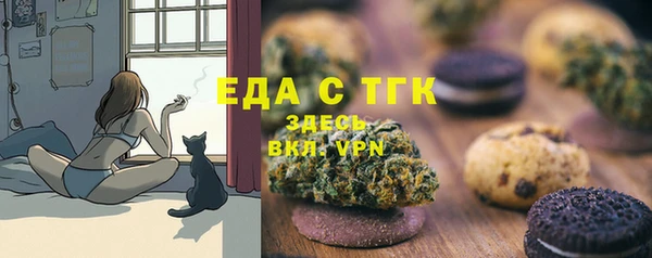 индика Сосновоборск