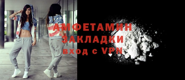 индика Сосновоборск
