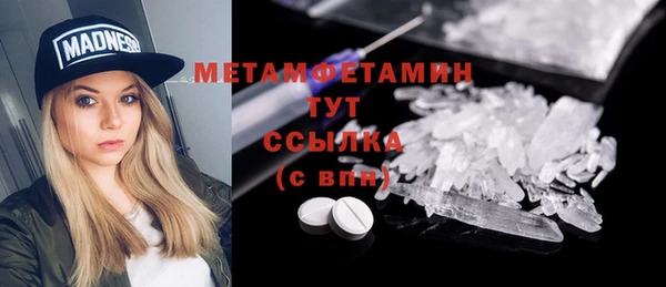 индика Сосновоборск