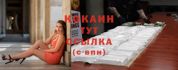 амф Сосновка