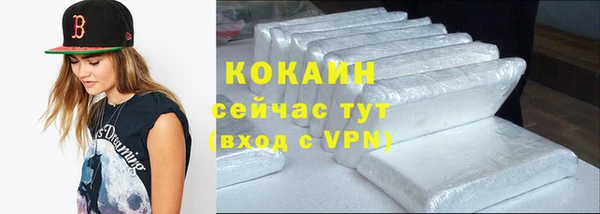 индика Сосновоборск