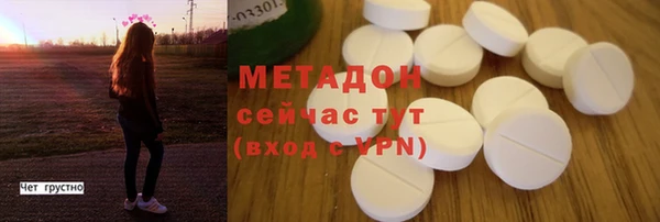 индика Сосновоборск