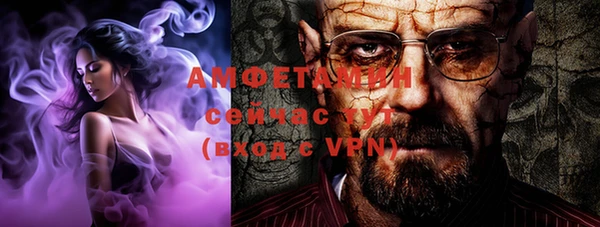 индика Сосновоборск