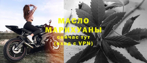 индика Сосновоборск