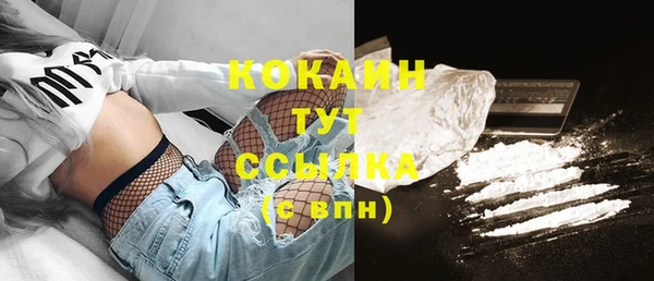 индика Сосновоборск