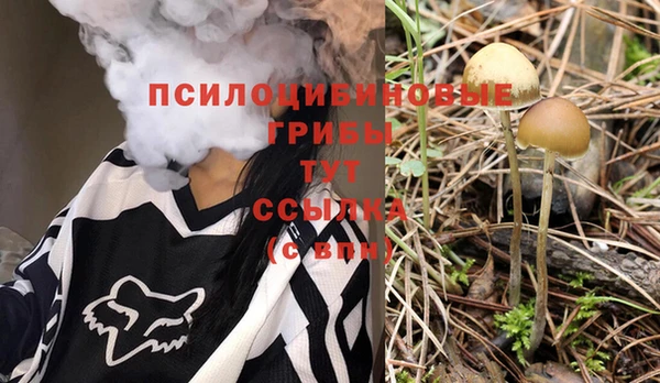 индика Сосновоборск